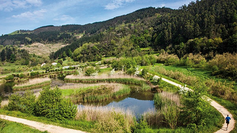 [10. IBILBIDEA] Casacampoko padurak