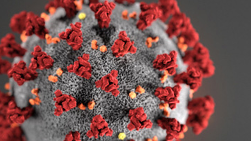 11 positibo atzeman zituzten atzo Eibarren