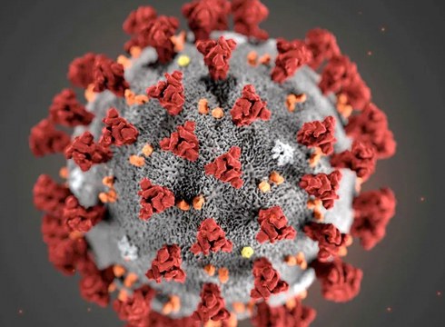 118 positibo berri atzeman dituzte Eibarren eta intzidentzia-tasa 2.489,63koa da