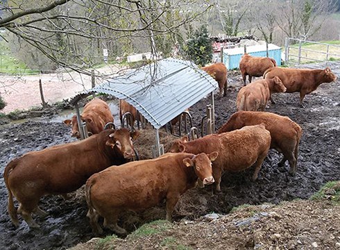 [15. IBILBIDEA] Elgoibarren Sallobenterantz