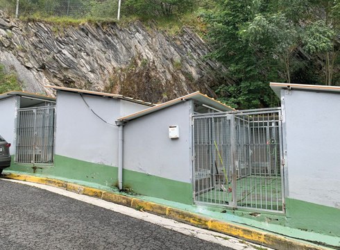 180 txakur eta katu baino gehiago artatu ditu azken urtean Mankomunitateak