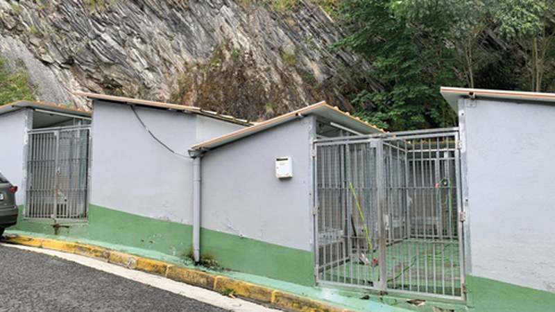 180 txakur eta katu baino gehiago artatu ditu azken urtean Mankomunitateak