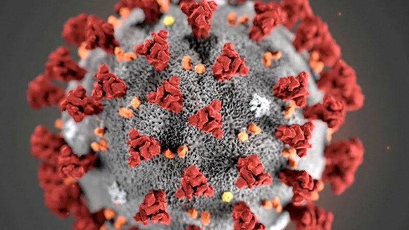 19 positibo atzeman dituzte Eibarren azken hiru egunetan