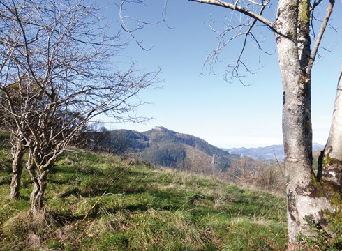 2. TXANGOA: Karabieta-Azkonabitxa-Asurtza-Karabieta