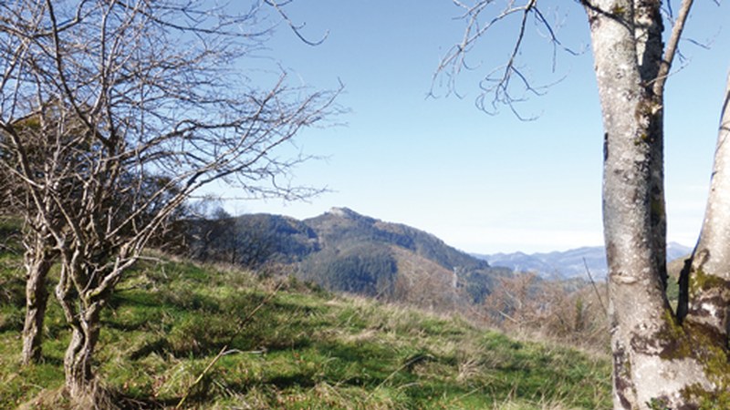 2. TXANGOA: Karabieta-Azkonabitxa-Asurtza-Karabieta