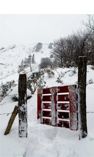 "2018 urte berri eta freskoak ateak zabaltzen dizkigu"﻿ (Virginia Arakistain)