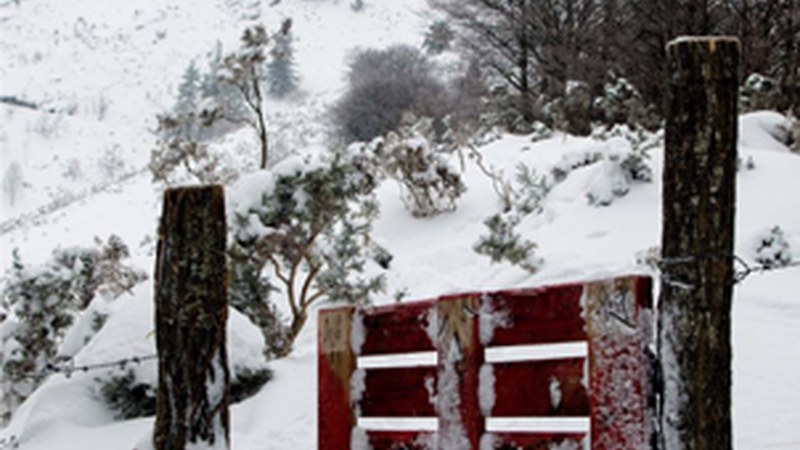 "2018 urte berri eta freskoak ateak zabaltzen dizkigu"﻿ (Virginia Arakistain)