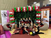 230 gimnasta inguru elkartu ziren domekan Gabonetako erakustaldian