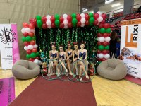 230 gimnasta inguru elkartu ziren domekan Gabonetako erakustaldian