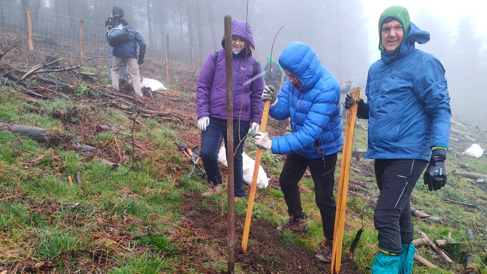 250 zuhaitz landatu ziren atzo auzolanean Korrika kulturalaren egitarauaren baitan