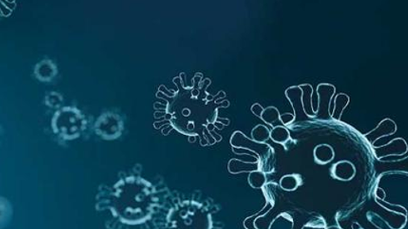 29 positibo berri Eibarren