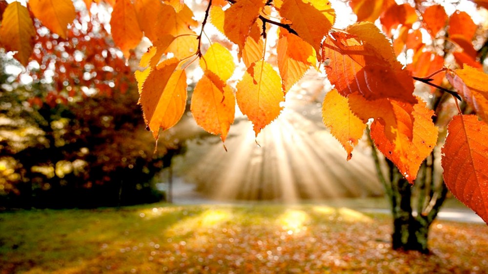 30. urteurrena ospatzeko ekitaldiak egingo dituzte Beheko Tokia adinekoen zentroan aste honetan