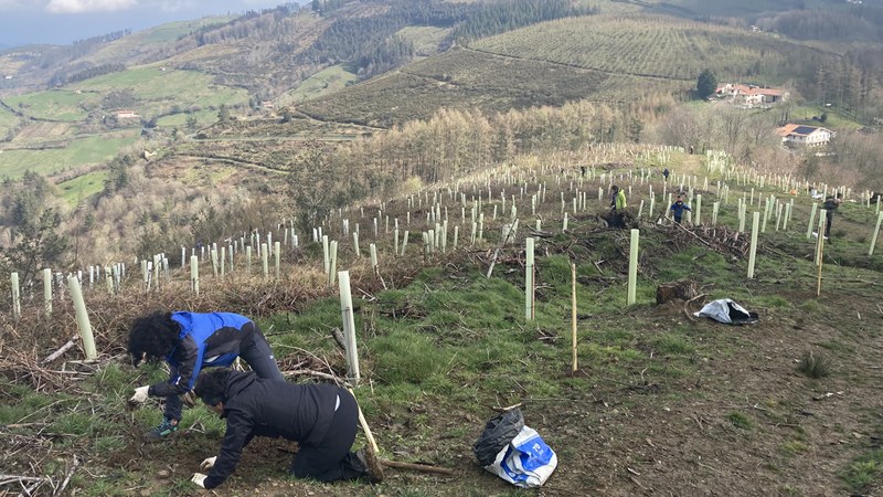 350 zuhaitz landatu zituzten zapatuan Urkoko magalean