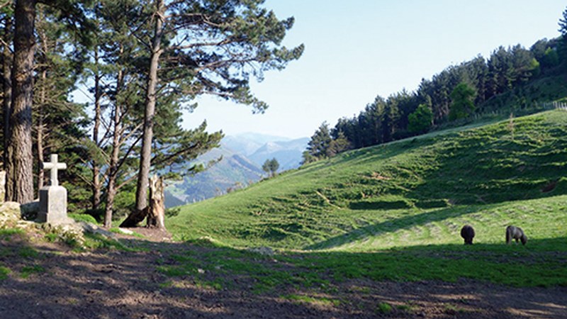 [4. IBILBIDEA] Mutrikuko Itzulia