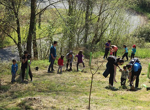 40 arbola landatuko dira domekan, Zuhaitz Eguna ospatzeko