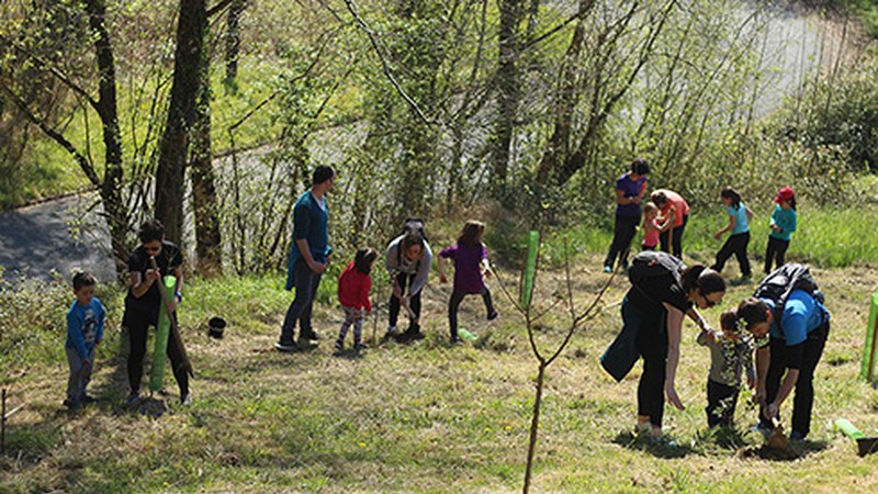 40 arbola landatuko dira domekan, Zuhaitz Eguna ospatzeko