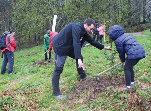 40 arbola landatuko dituzte domekan Zuhaitz Egunaren harira