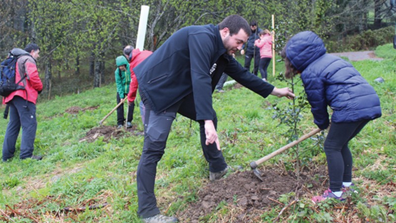 40 arbola landatuko dituzte domekan Zuhaitz Egunaren harira