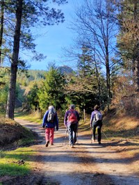 42 lagunek egin zuten Hartzaren Urratsak zeharkaldiaren bigarren etapa 42 lagunek egin zuten Hartzaren Urratsak zeharkaldiaren bigarren etapa