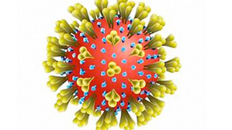 5 positibo berri atzeman dituzte Eibarren eta orain ez da intzidentzia-tasa altuena duen herria