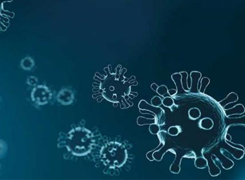 5 positibo berri Eibarren