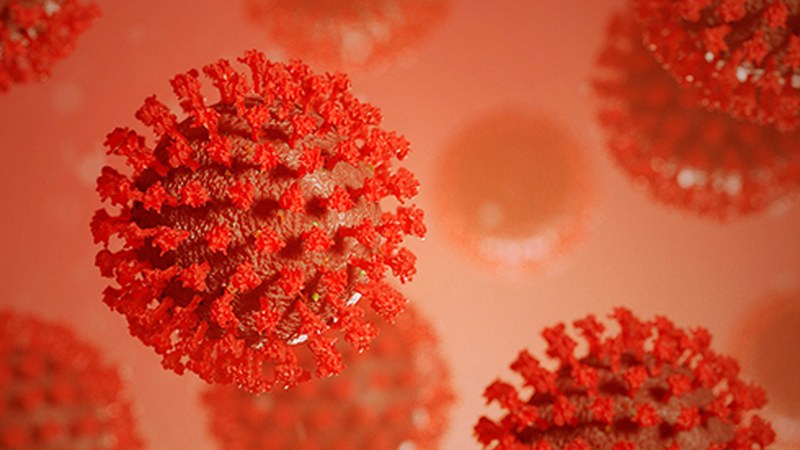 538 koronabirus kasu berri gehiago atzeman dituzte Eibarren