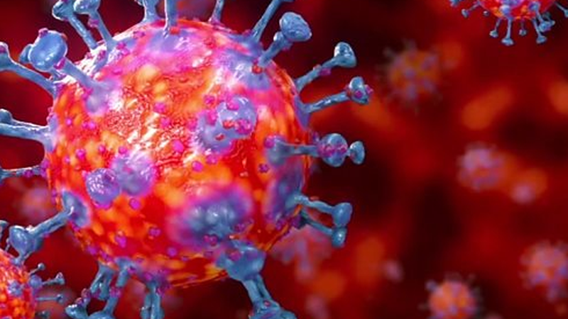 58 pertsona daude ospitalizatuta Eibar eta Mendaroko ospitaletan koronabirusagatik