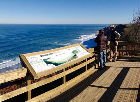 [7. IBILBIDEA] Elorriagako begiratokia