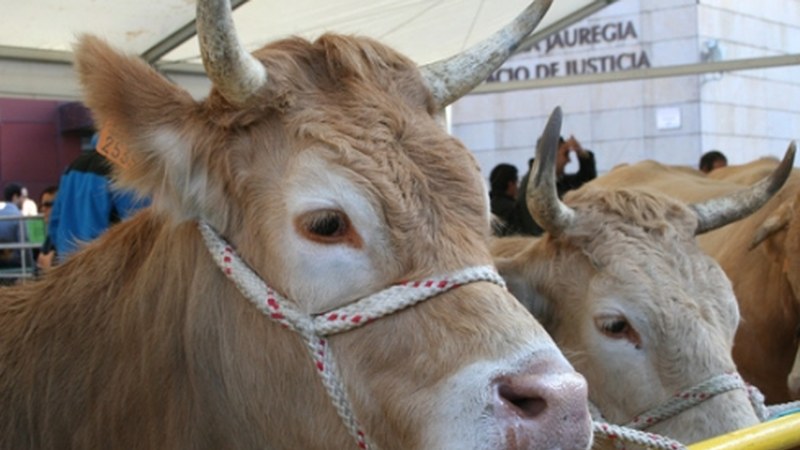 72 postu San Andres Azokan