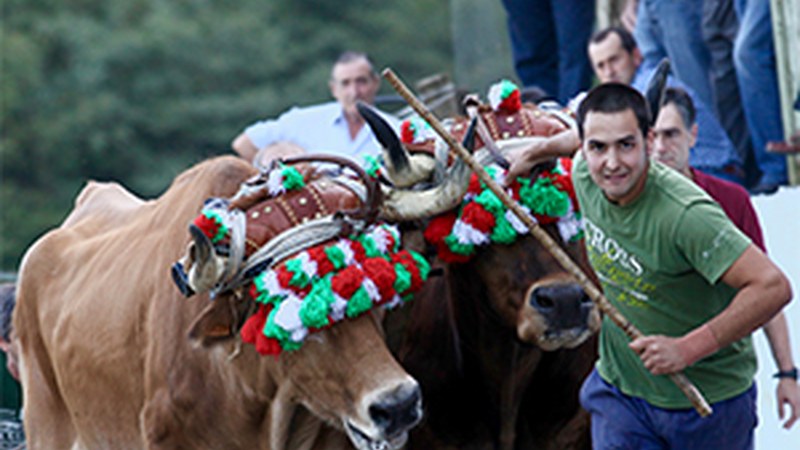 "Aginaga auzoko jaiak" (Ramon Beitia)