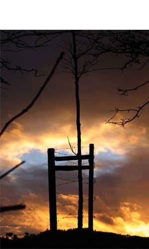 “Ahaztua ez izateko” (Uxue Igarza)