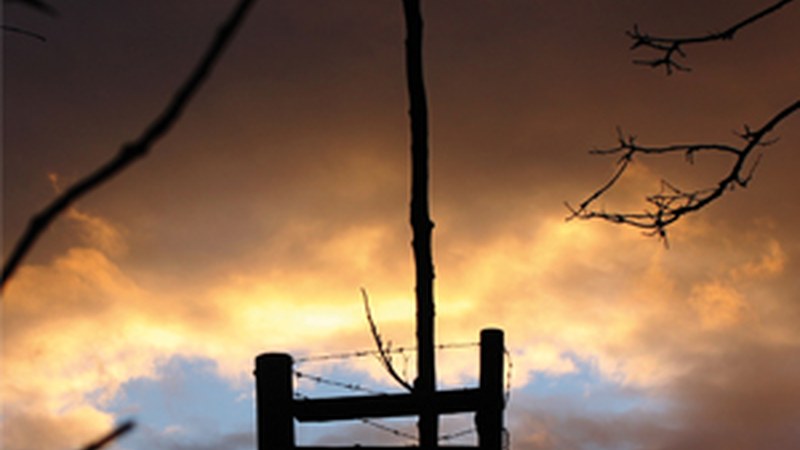 “Ahaztua ez izateko” (Uxue Igarza)