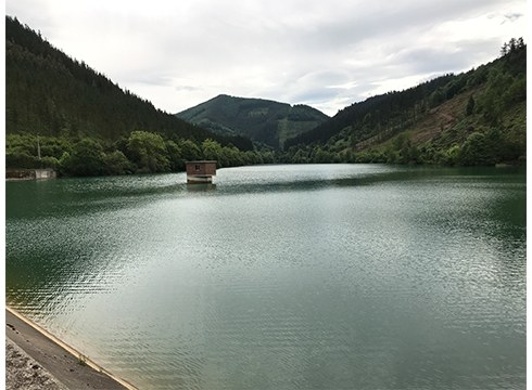 Aixolako urtegia hustuko dute zebra-muskuiluaren hedadura-maila aztertzeko