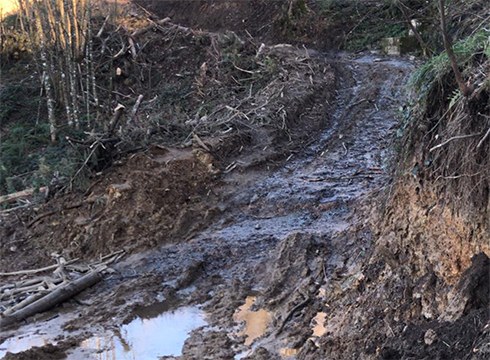 Akondia eta beste mendi askotako bideak “egoera negargarrian” daudela salatu du Baso Biziak-ek