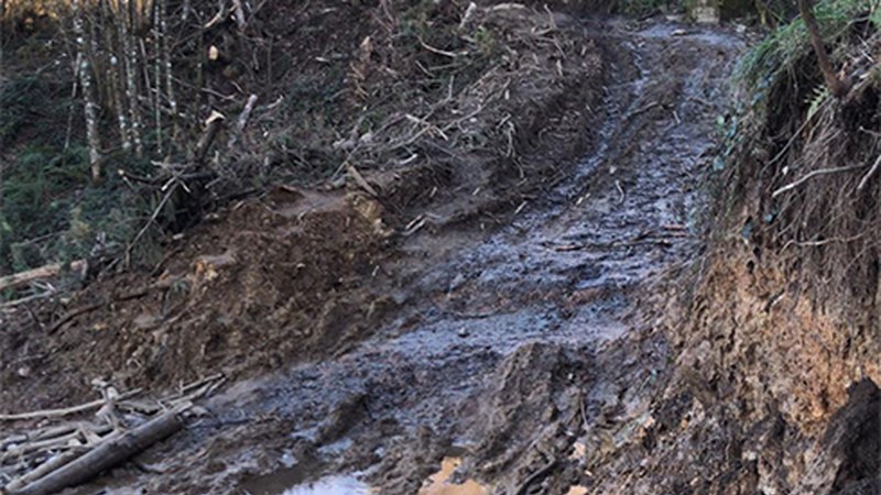 Akondia eta beste mendi askotako bideak “egoera negargarrian” daudela salatu du Baso Biziak-ek