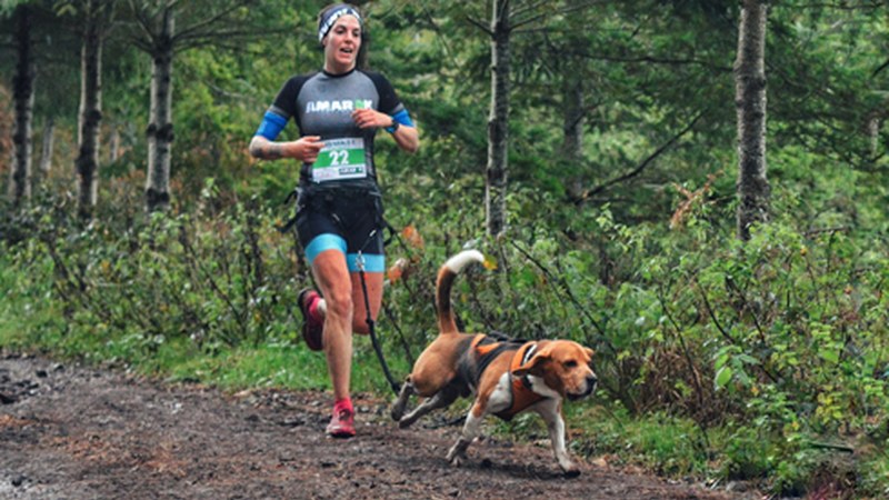 Amañak Eibarko Txakurkrosa hartuko du domeka goizean
