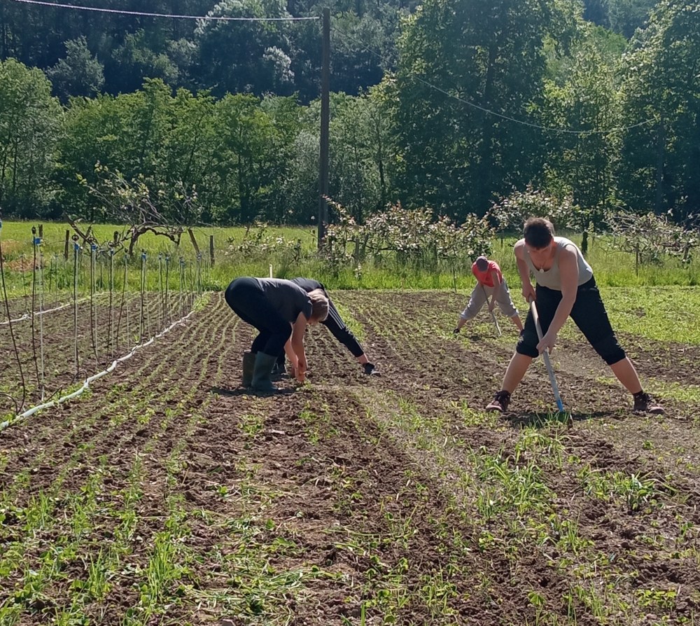 Amillubin auzolanean aritzeko deia egin dute