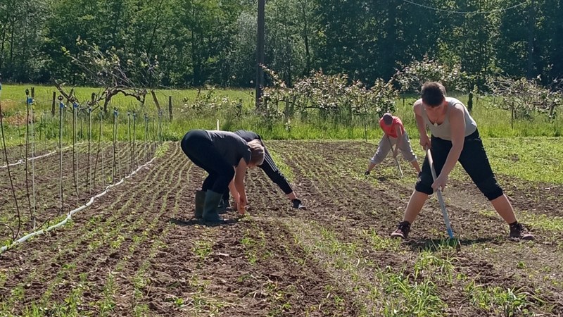 Amillubin auzolanean aritzeko deia egin dute