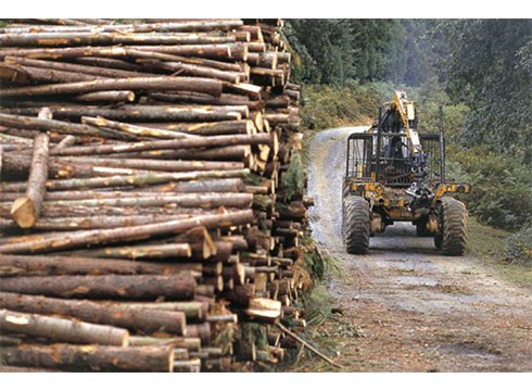 Andirao elkarteak errespetua eta aitorpena eskatu du