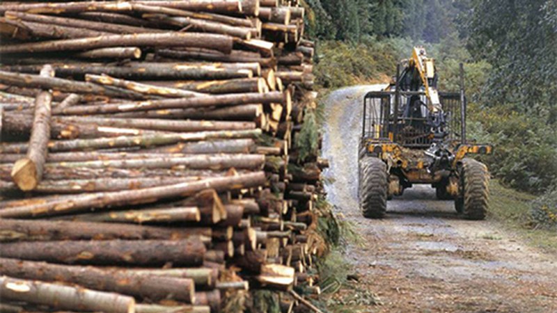 Andirao elkarteak errespetua eta aitorpena eskatu du