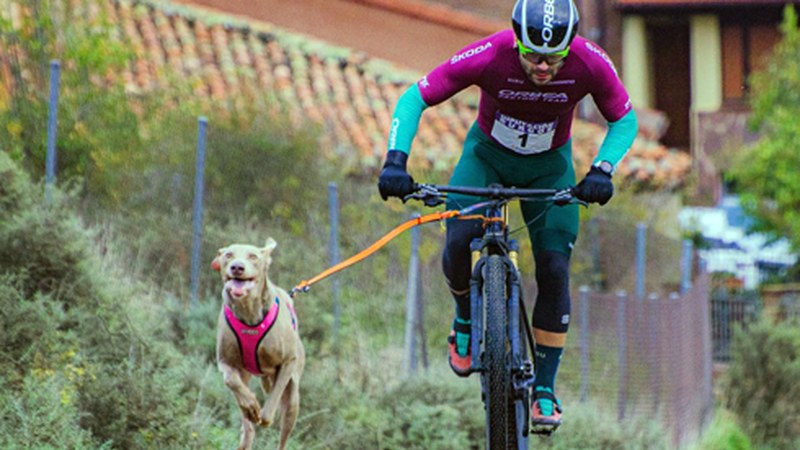Andoni Mayo bigarren izan zen Burgosko txakurkrosean