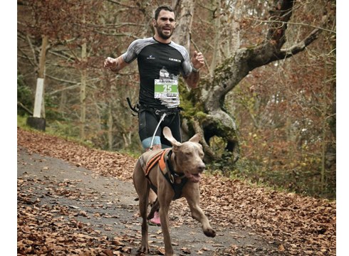 ANDONI MAYO: “Txakurrak agintzen du hemen; berak ez badu nahi, erretiratu eta kitto”