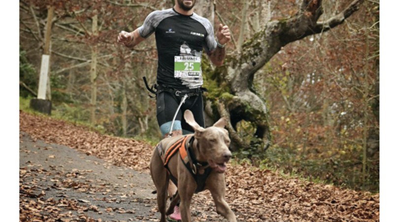ANDONI MAYO: “Txakurrak agintzen du hemen; berak ez badu nahi, erretiratu eta kitto”