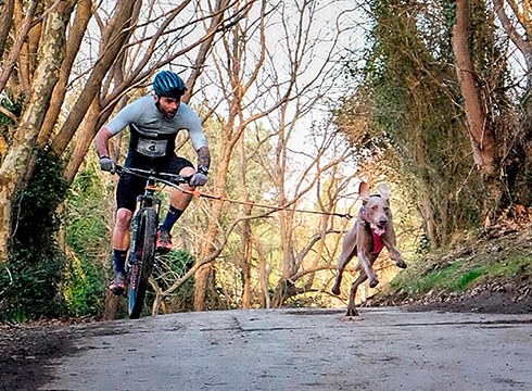 Andoni Mayo: “Txakurrentzat joko modukoak dira lasterketak, asko gozatzen dute korrika egiterakoan”