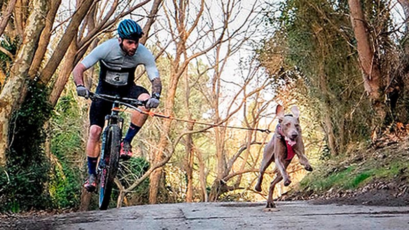 Andoni Mayo: “Txakurrentzat joko modukoak dira lasterketak, asko gozatzen dute korrika egiterakoan”