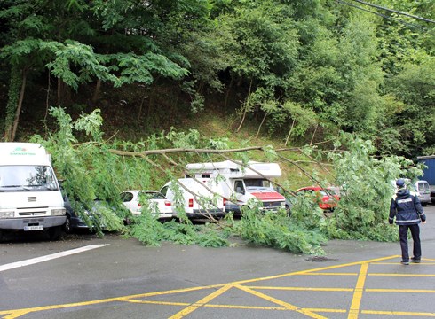 Aparkatutako kamioi baten gainean arbola jausi da Matxarian