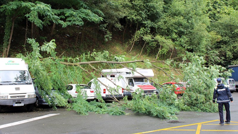 Aparkatutako kamioi baten gainean arbola jausi da Matxarian