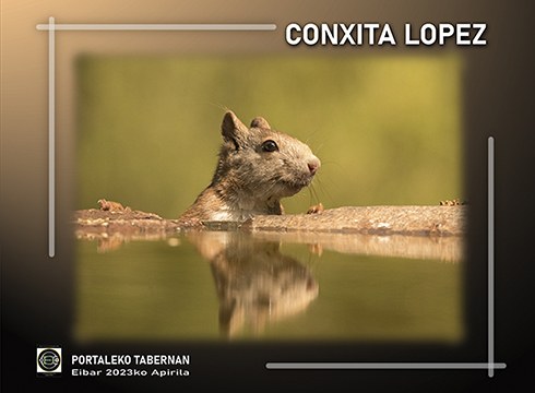 Apirilean bi argazki erakusketa ikusi ahal izango dira Portalea eta Depor tabernetan