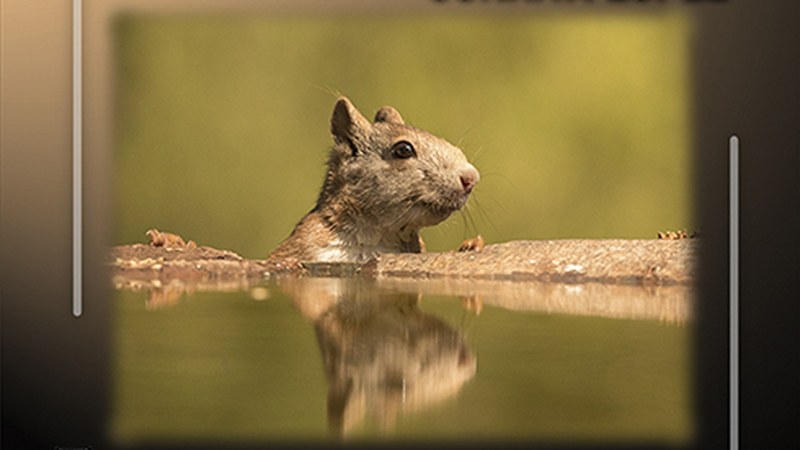Apirilean bi argazki erakusketa ikusi ahal izango dira Portalea eta Depor tabernetan