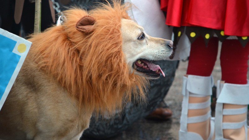 Aratosteak 2024 | Zapatuko giroa